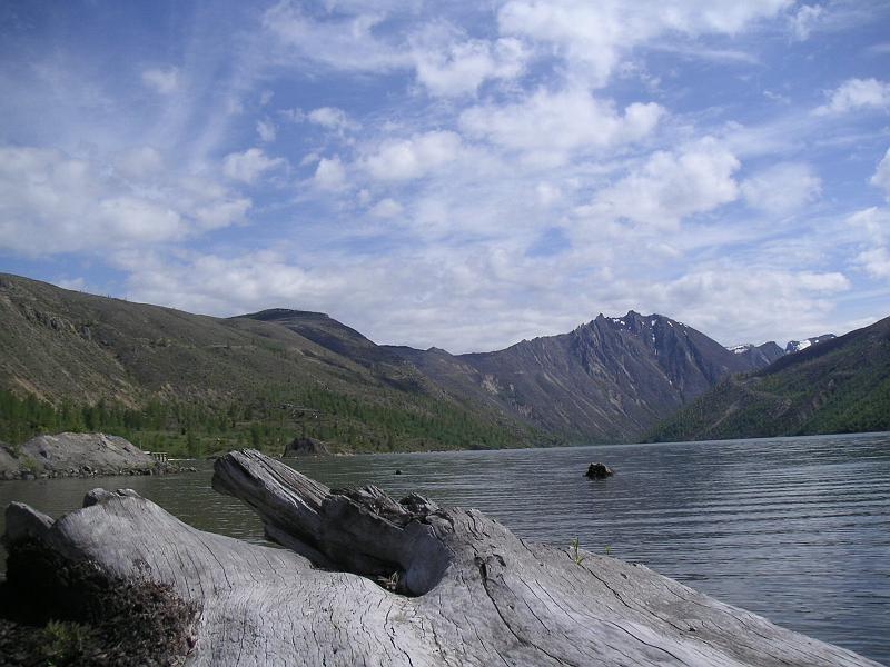 Mount St.Helens (24).JPG